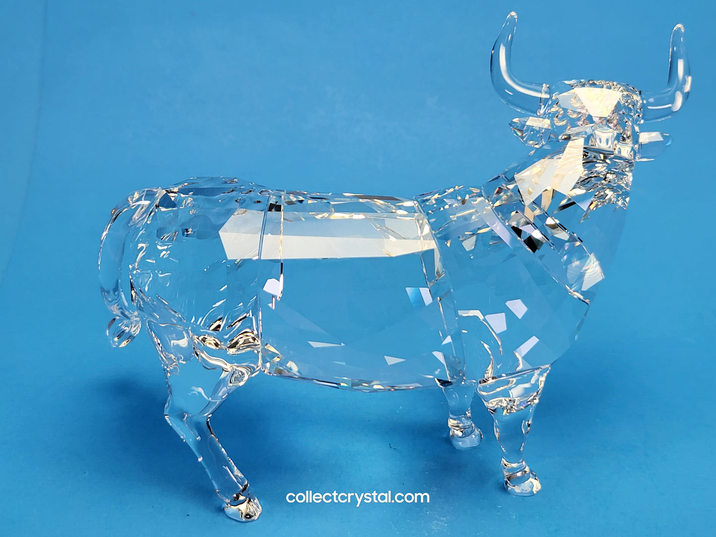 BULL (2018) 5365721 Male Cattle Cow