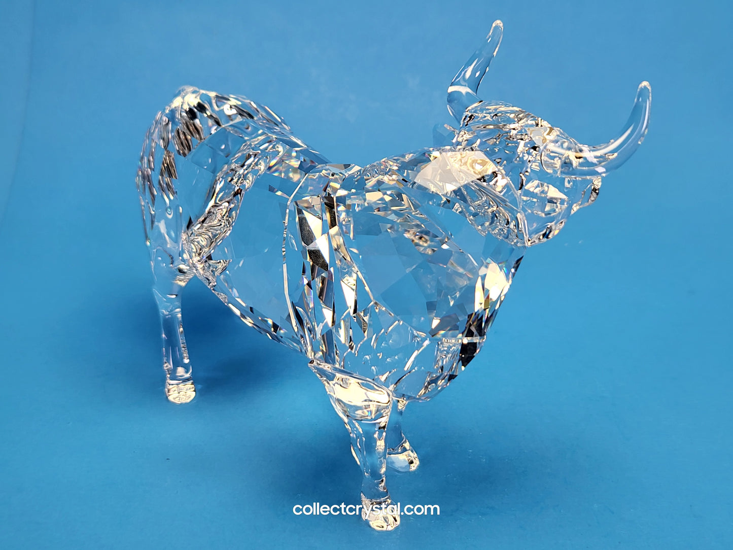 BULL (2018) 5365721 Male Cattle Cow