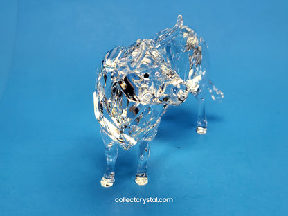 BULL (2018) 5365721 Male Cattle Cow