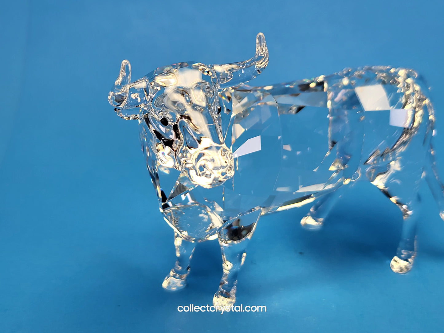 BULL (2018) 5365721 Male Cattle Cow