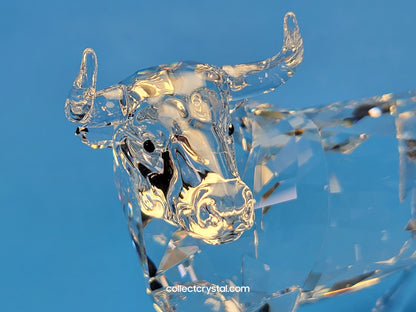 BULL (2018) 5365721 Male Cattle Cow