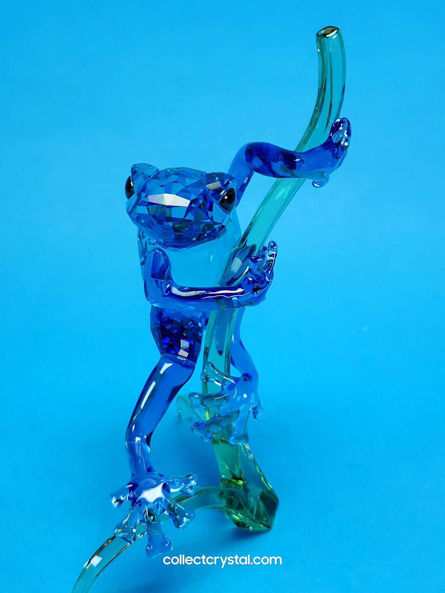 PARADISE ANIMALS – FROG ON BRANCH 5239716