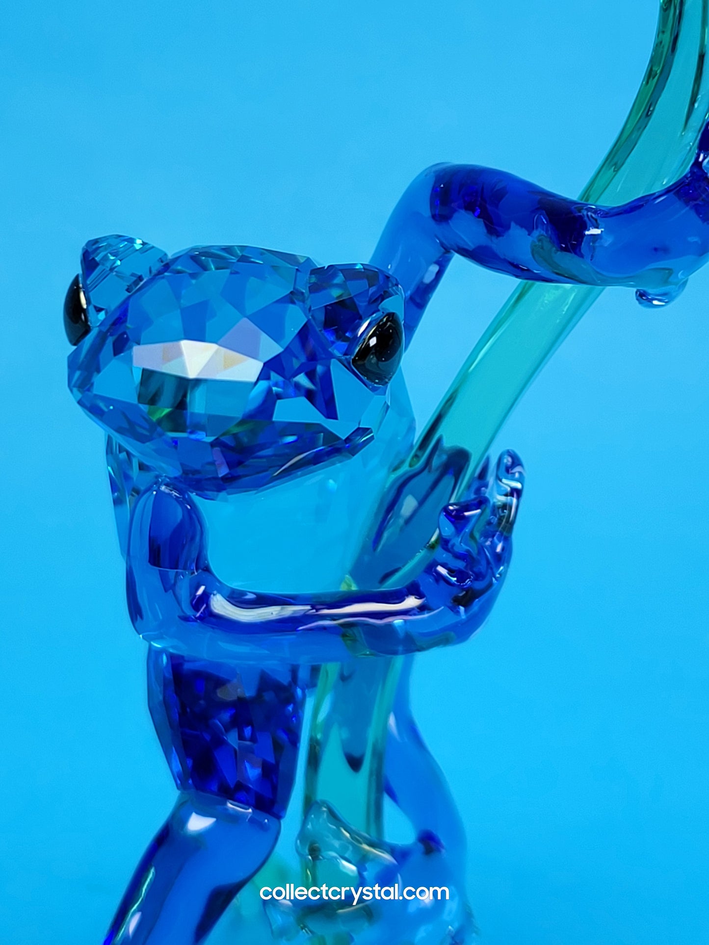 PARADISE ANIMALS – FROG ON BRANCH 5239716