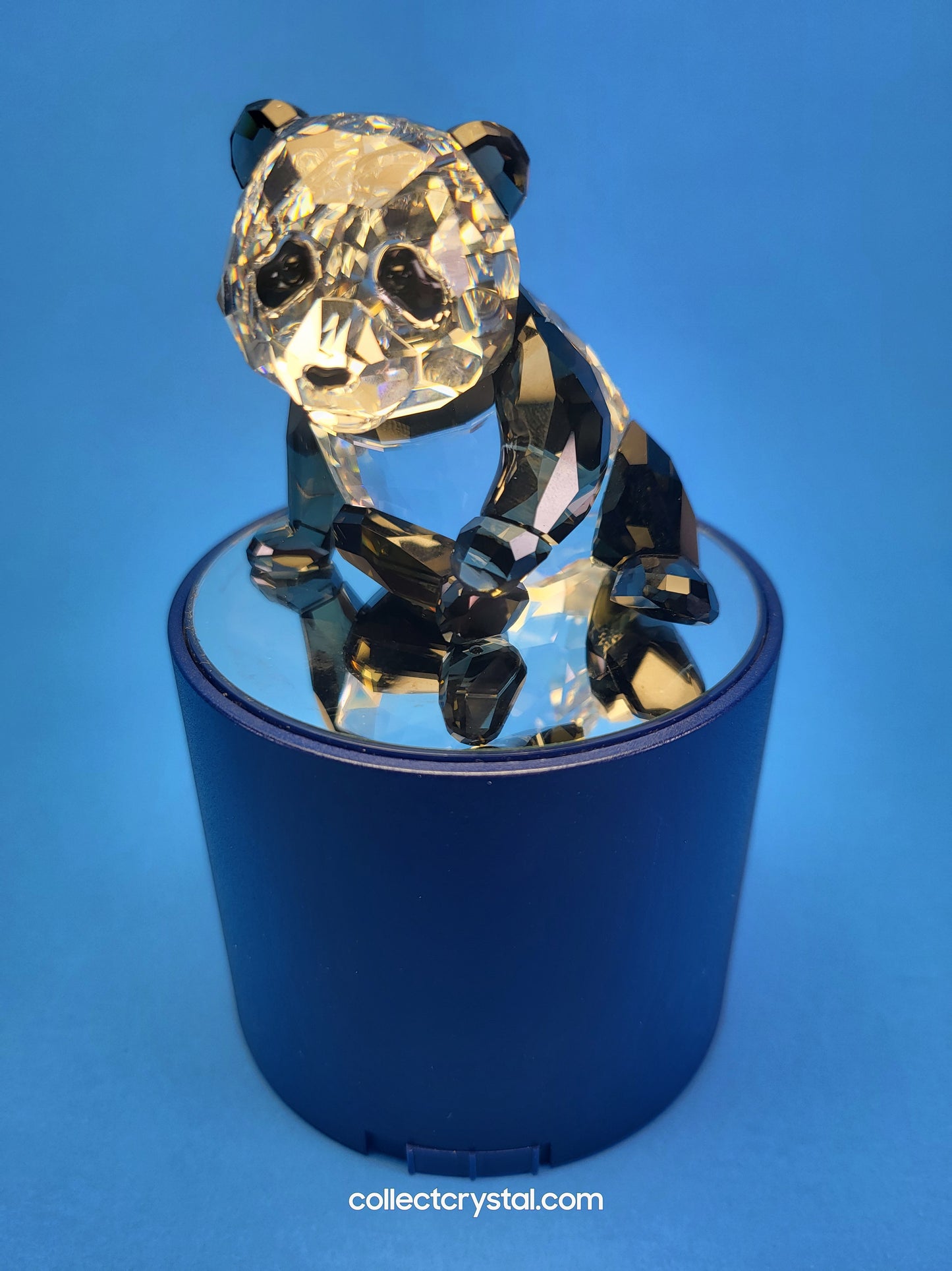 Black Round Battery Operated Display Stand