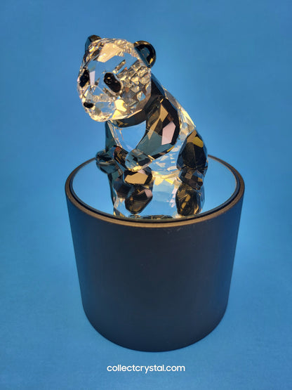 Blue Round Battery Operated Display Stand