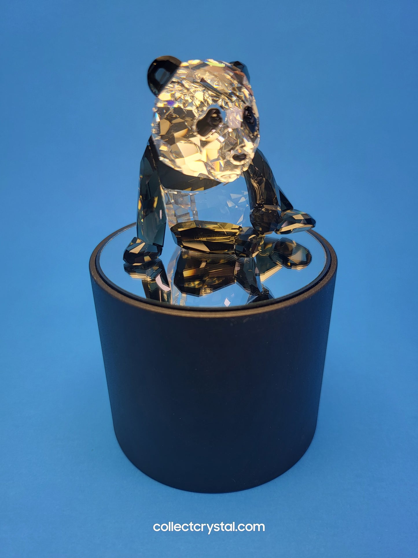 Blue Round Battery Operated Display Stand