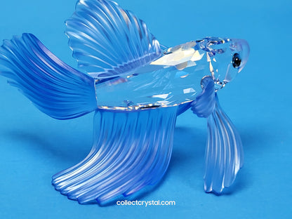 Siamese Beta Fighting Fish set of 3 - #236718, 261259, & 660941 mib