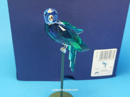 PARADISE BIRDS – OBJECT BARACOA TANZANITE 275578