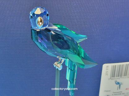 PARADISE BIRDS – OBJECT BARACOA TANZANITE 275578