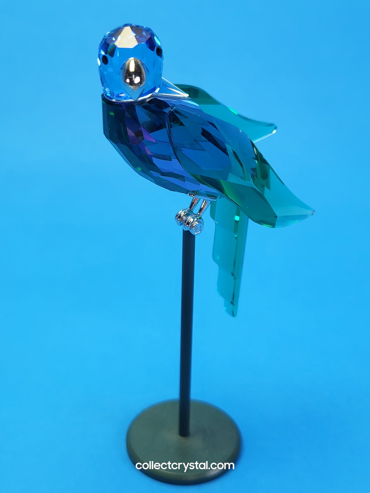 PARADISE BIRDS – OBJECT BARACOA TANZANITE 275578
