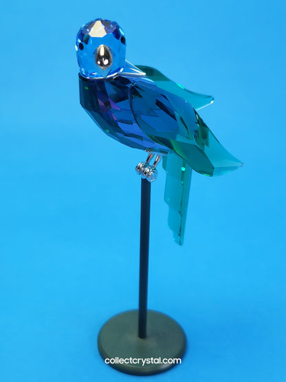 PARADISE BIRDS – OBJECT BARACOA TANZANITE 275578