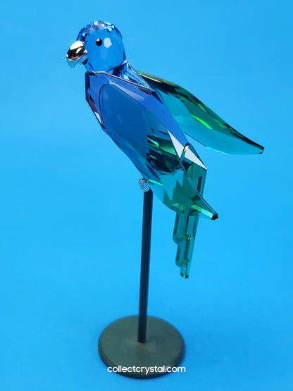PARADISE BIRDS – OBJECT BARACOA TANZANITE 275578