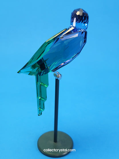PARADISE BIRDS – OBJECT BARACOA TANZANITE 275578