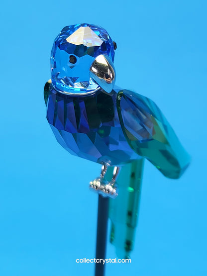 PARADISE BIRDS – OBJECT BARACOA TANZANITE 275578