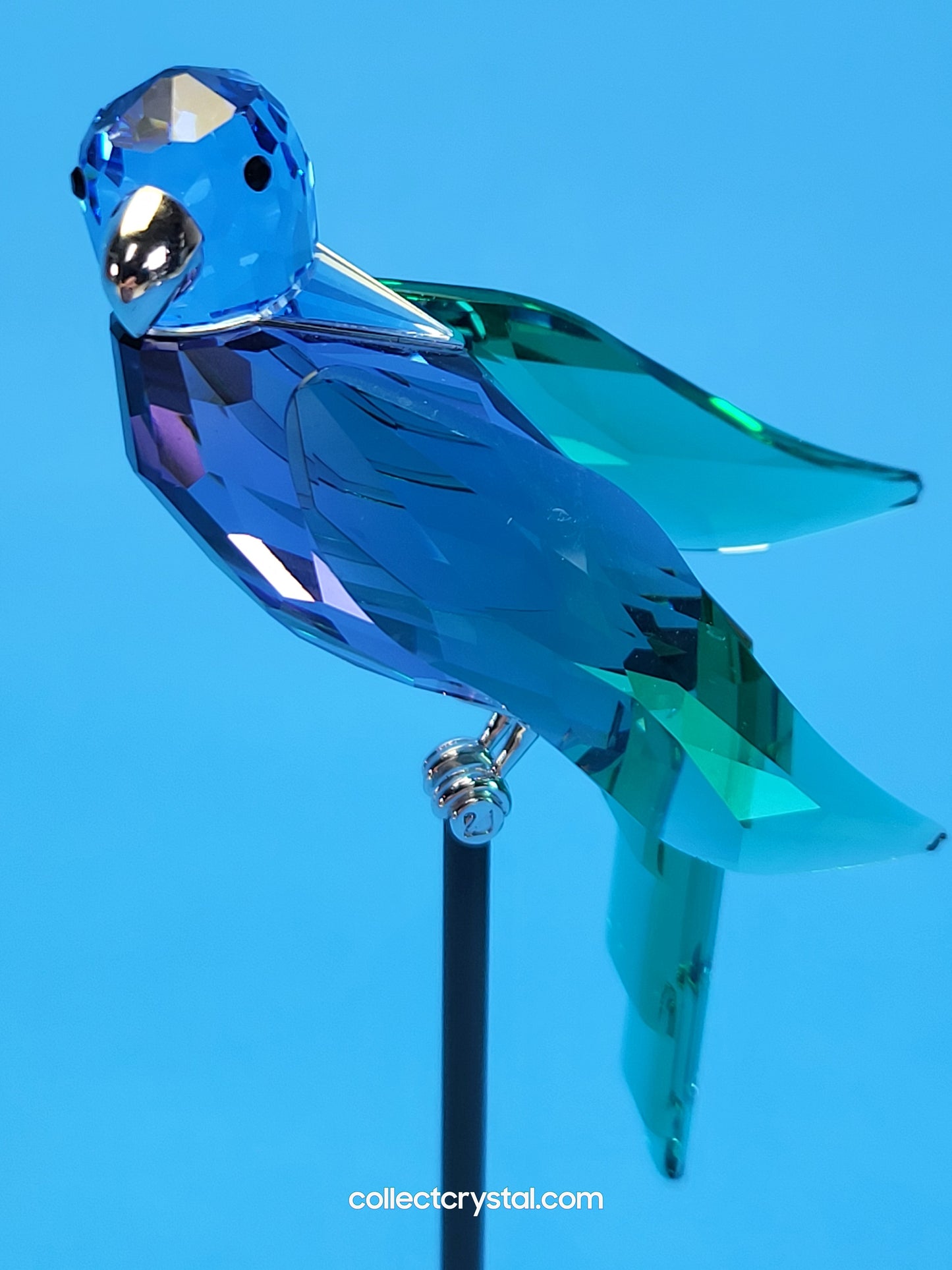 PARADISE BIRDS – OBJECT BARACOA TANZANITE 275578