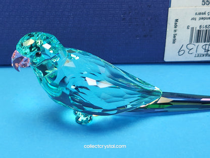Jungle Beats Blue Parakeet Paco Bird Crystal Figurine # 5574519