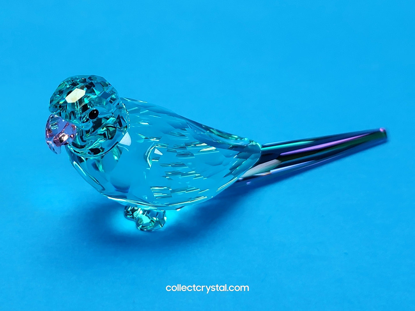 Jungle Beats Blue Parakeet Paco Bird Crystal Figurine # 5574519