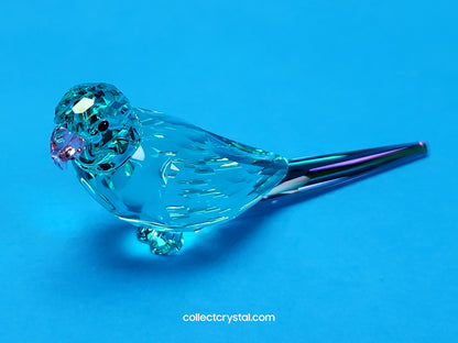 Jungle Beats Blue Parakeet Paco Bird Crystal Figurine # 5574519