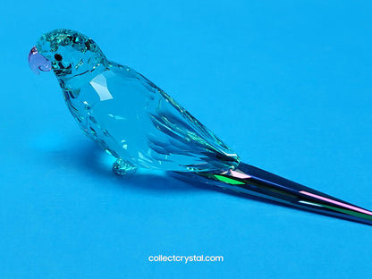 Jungle Beats Blue Parakeet Paco Bird Crystal Figurine # 5574519