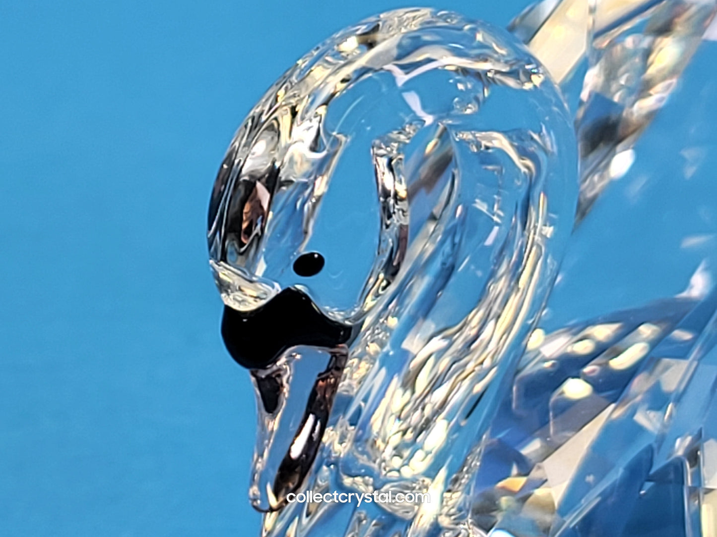 Swan, Large # 5004723 Crystal Figurine  2014 issued
