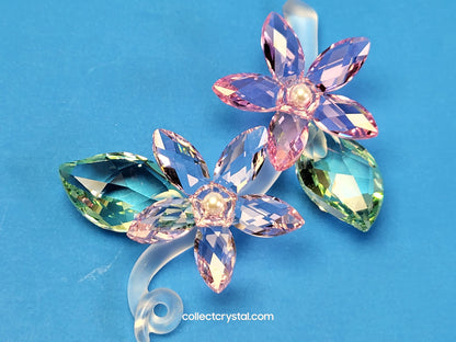 JASMINE 917664 Flower
