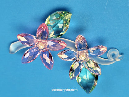 JASMINE 917664 Flower
