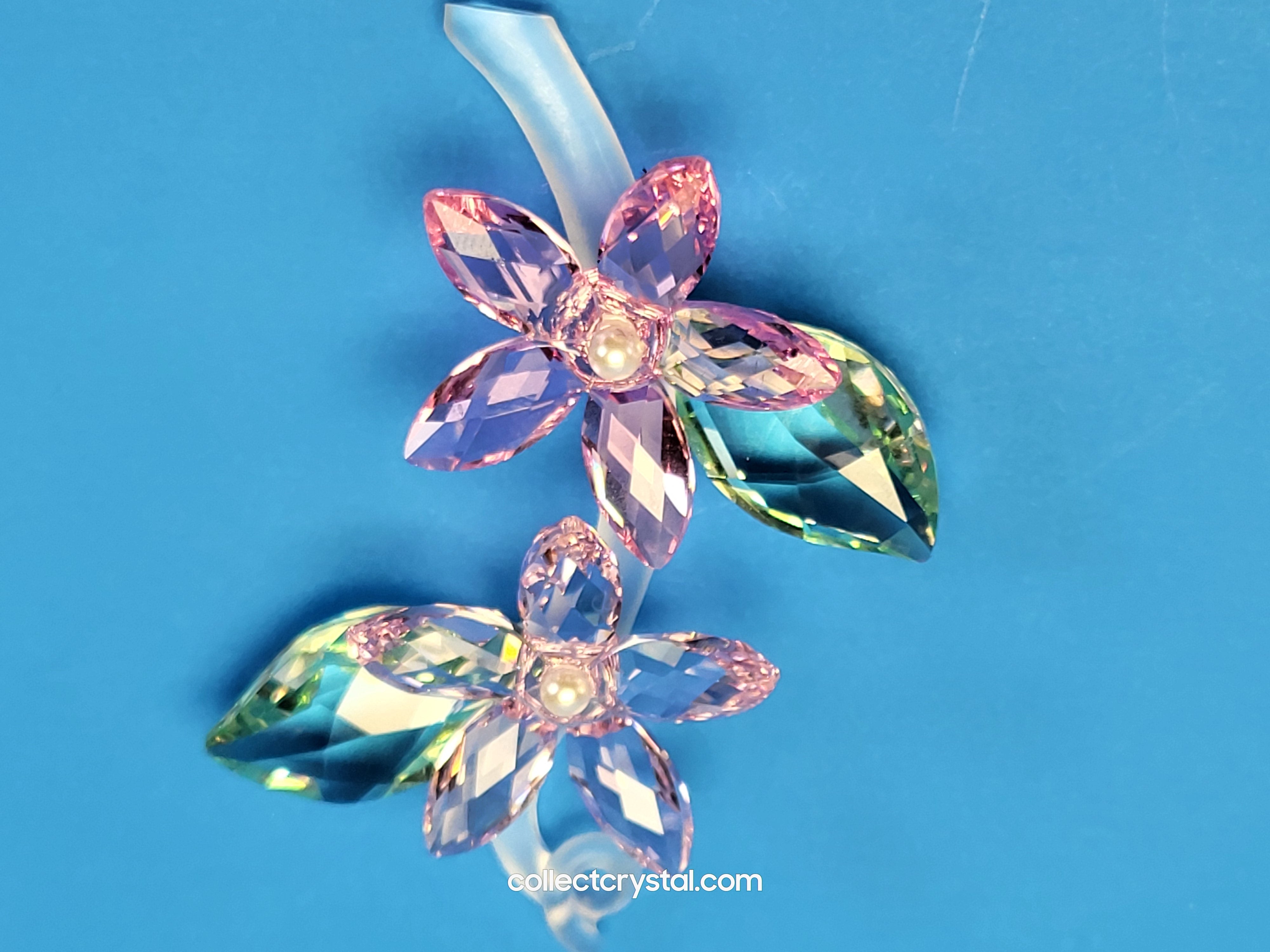 JASMINE 917664 Flower – Collect Crystal