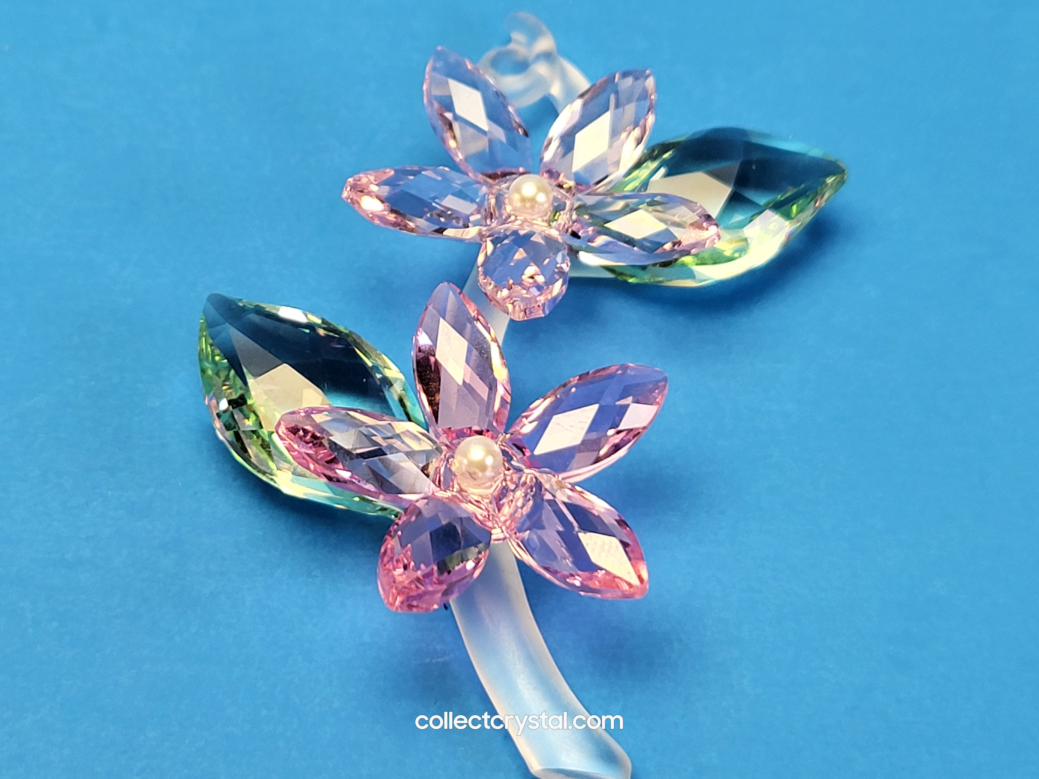 JASMINE 917664 Flower – Collect Crystal