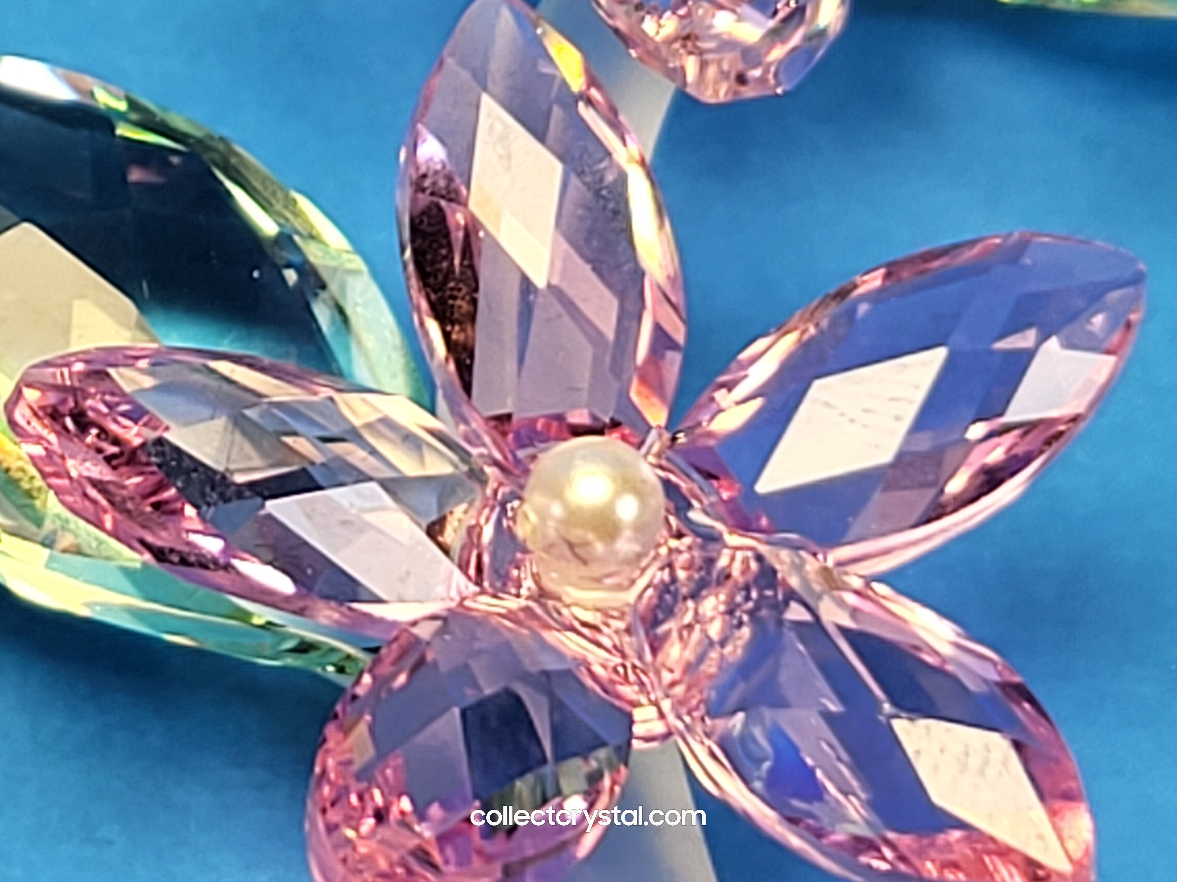 JASMINE 917664 Flower – Collect Crystal