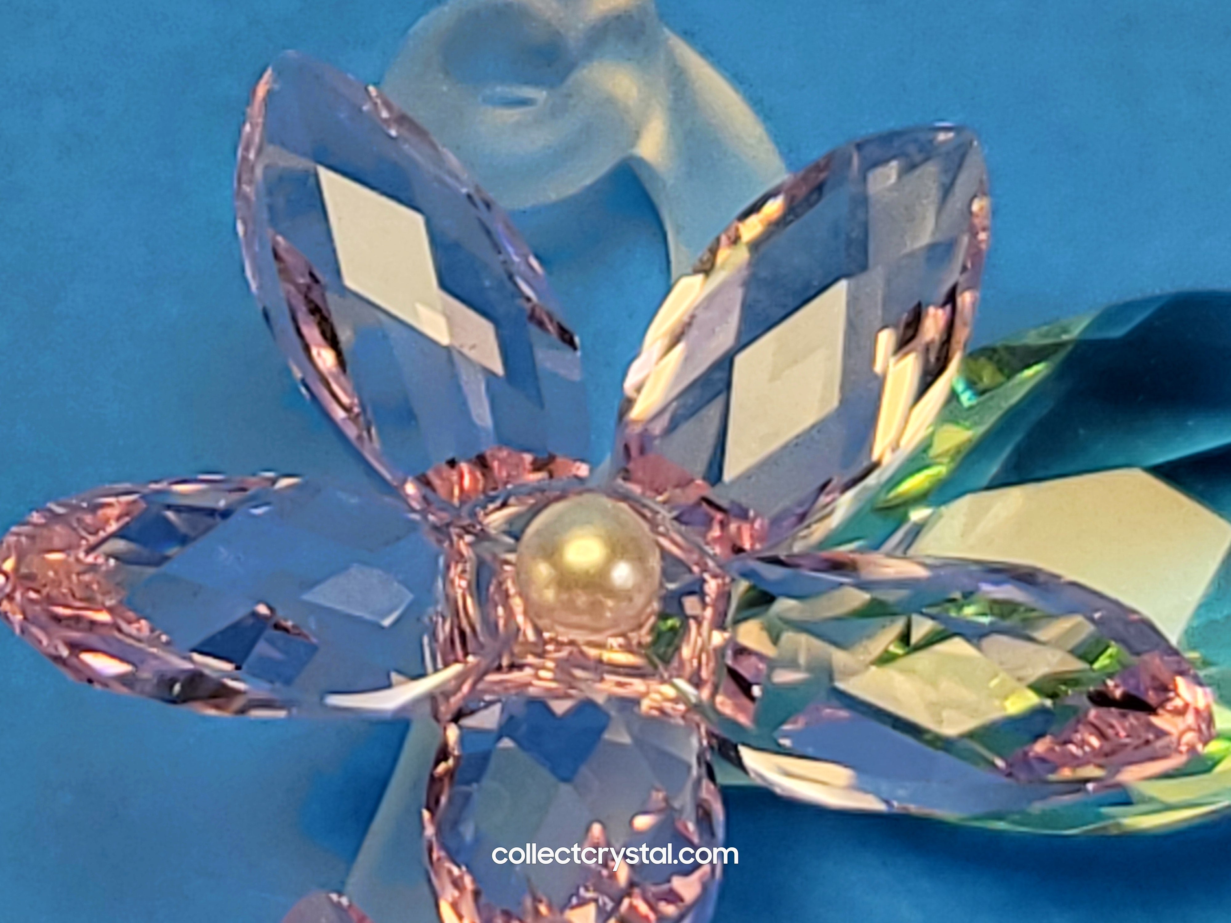 JASMINE 917664 Flower – Collect Crystal