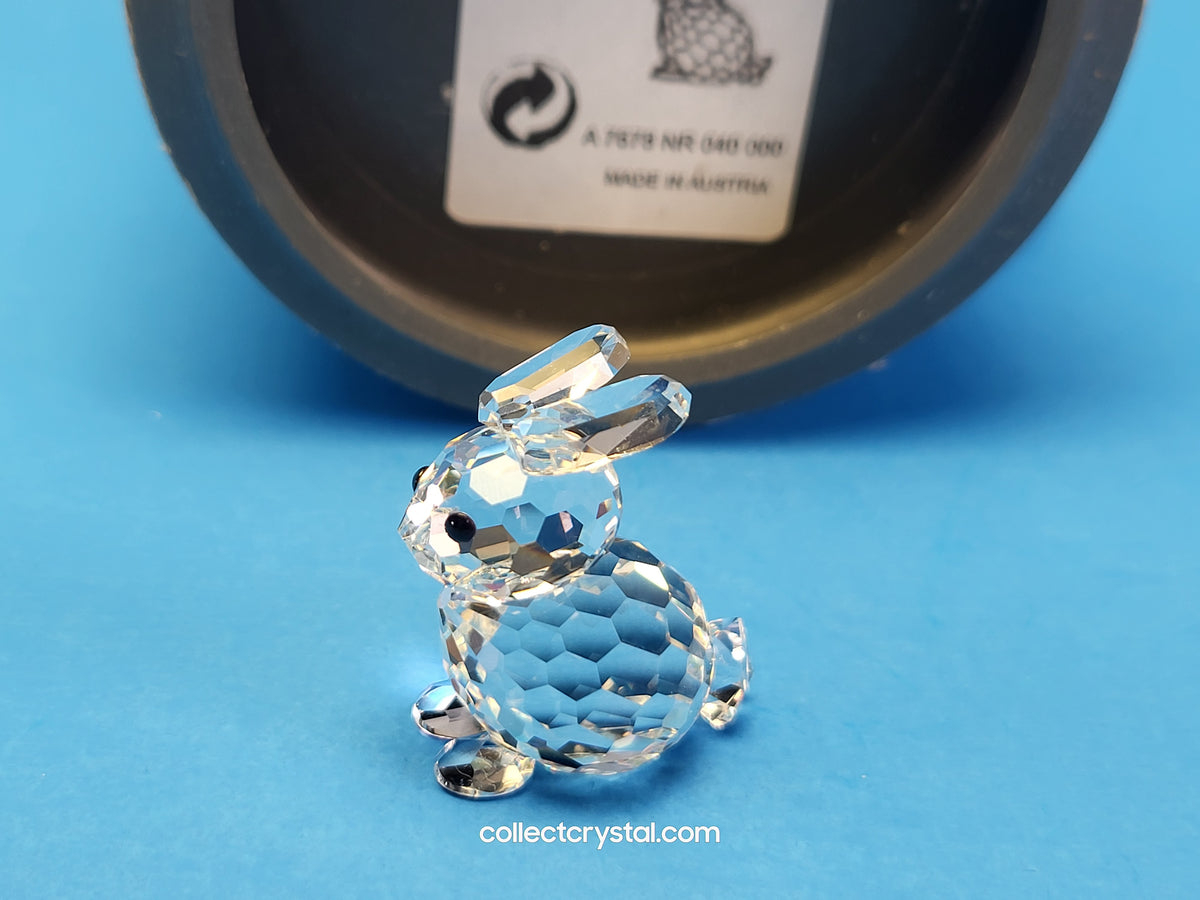 Mini Bunny Rabbit sitting # 14849