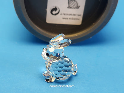 Mini Bunny Rabbit sitting # 14849