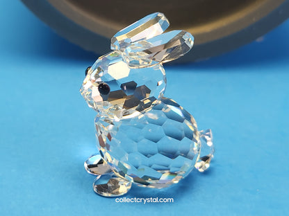 Mini Bunny Rabbit sitting # 14849