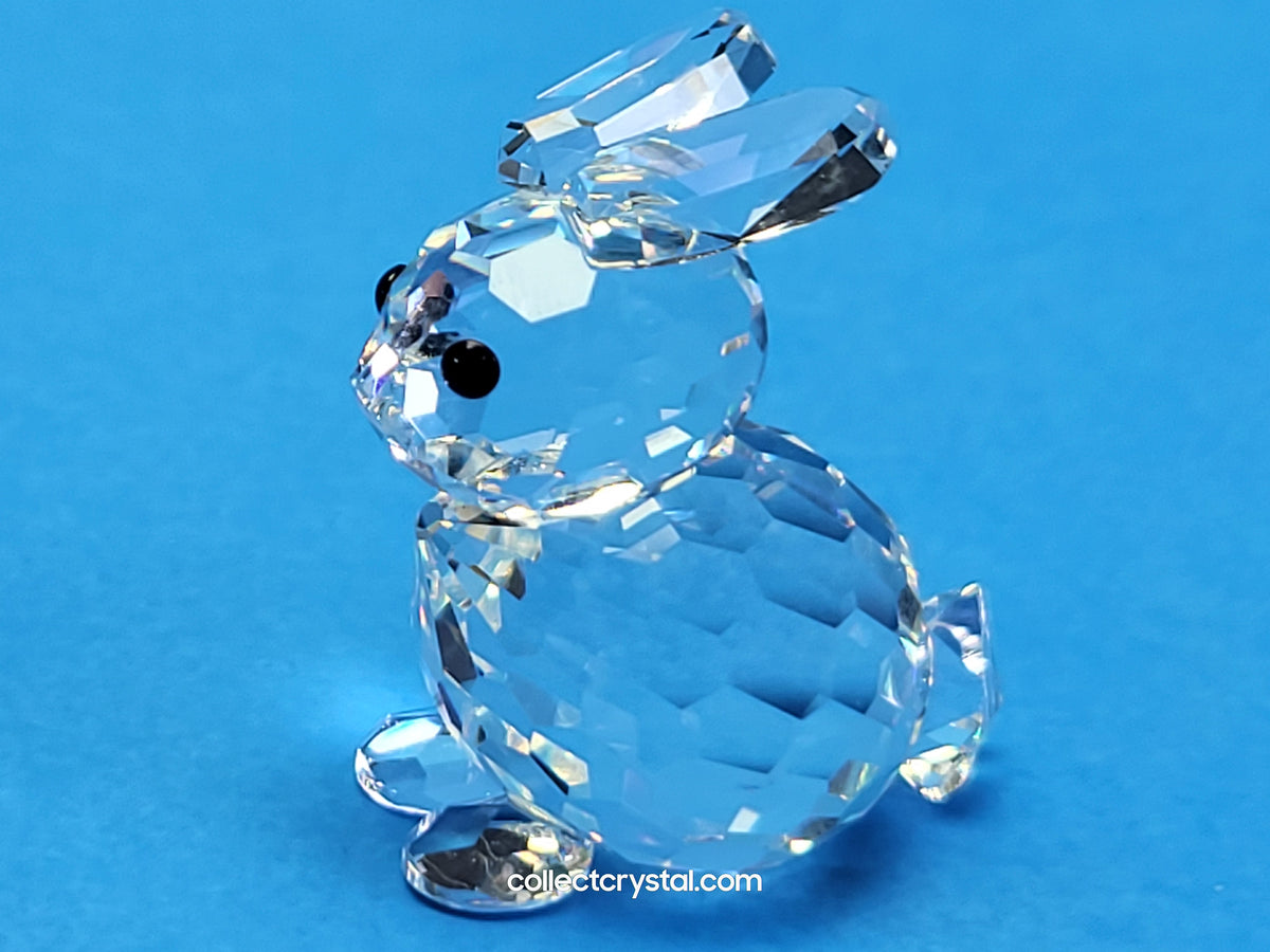 Mini Bunny Rabbit sitting # 14849