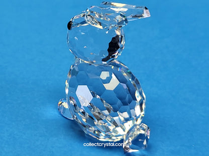 Mini Bunny Rabbit sitting # 14849