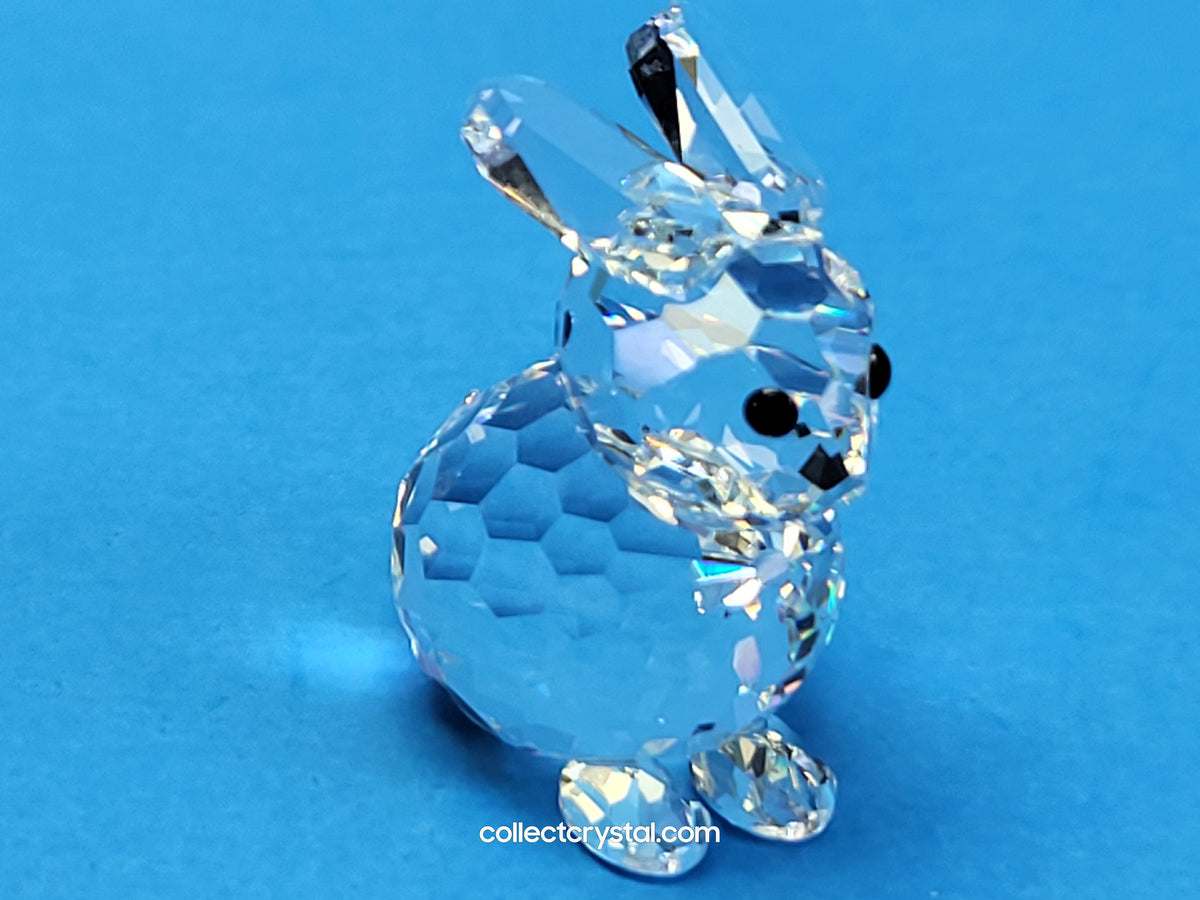 Mini Bunny Rabbit sitting # 14849