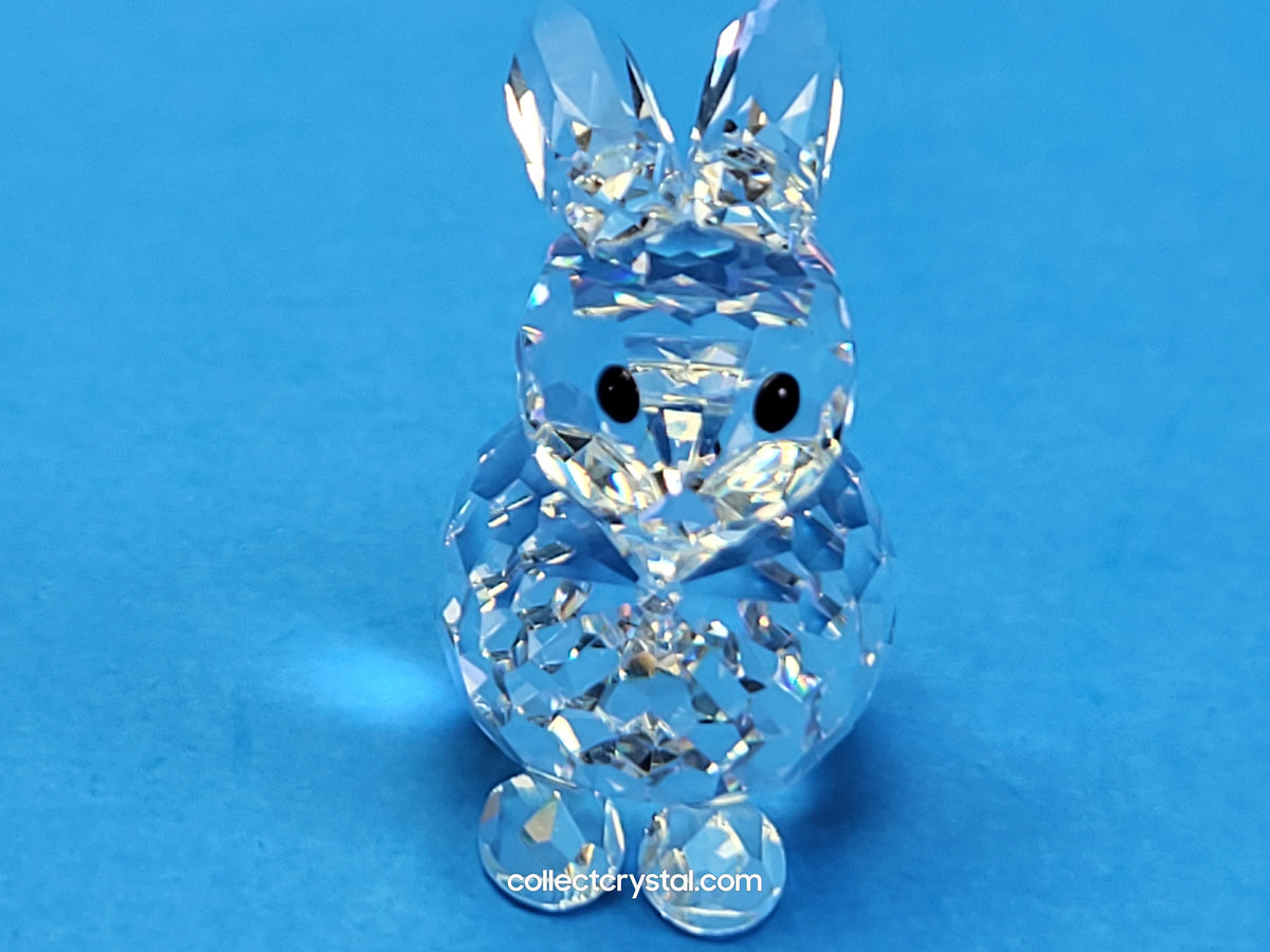 Mini Bunny Rabbit sitting # 14849