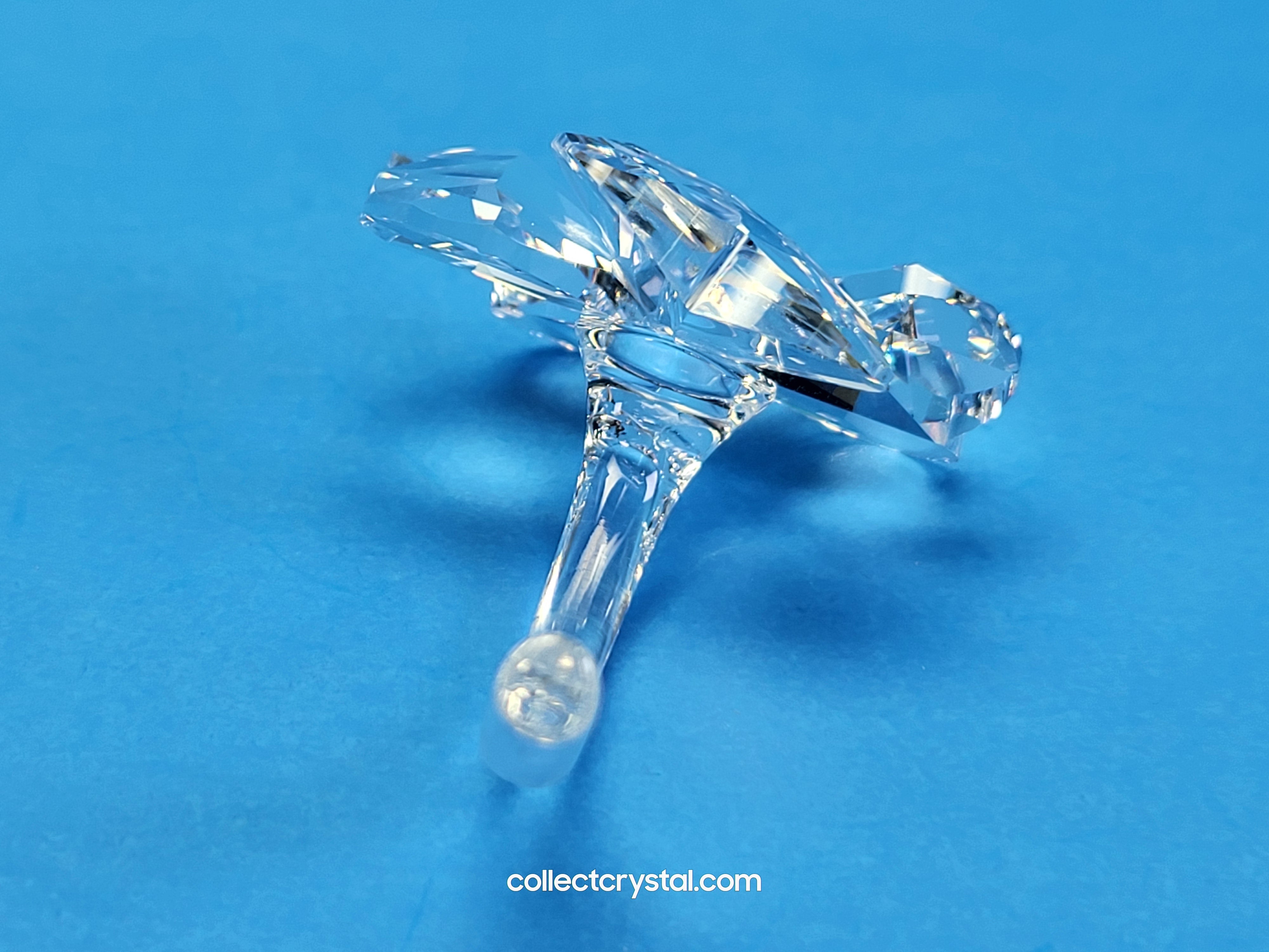 FOUR LEAF CLOVER 212101 – Collect Crystal