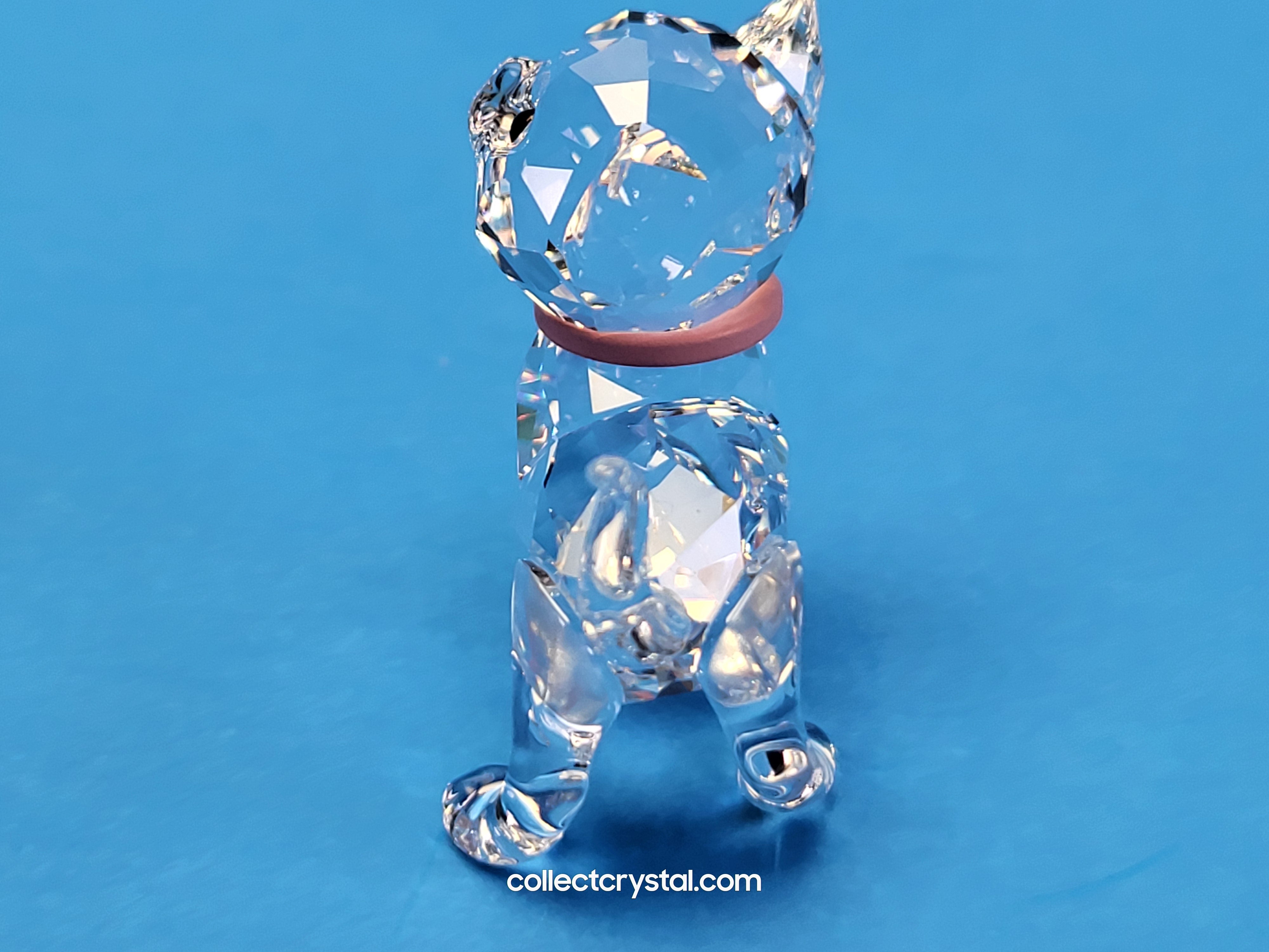 KITTEN STANDING with pink collar # 1193537 – Collect Crystal