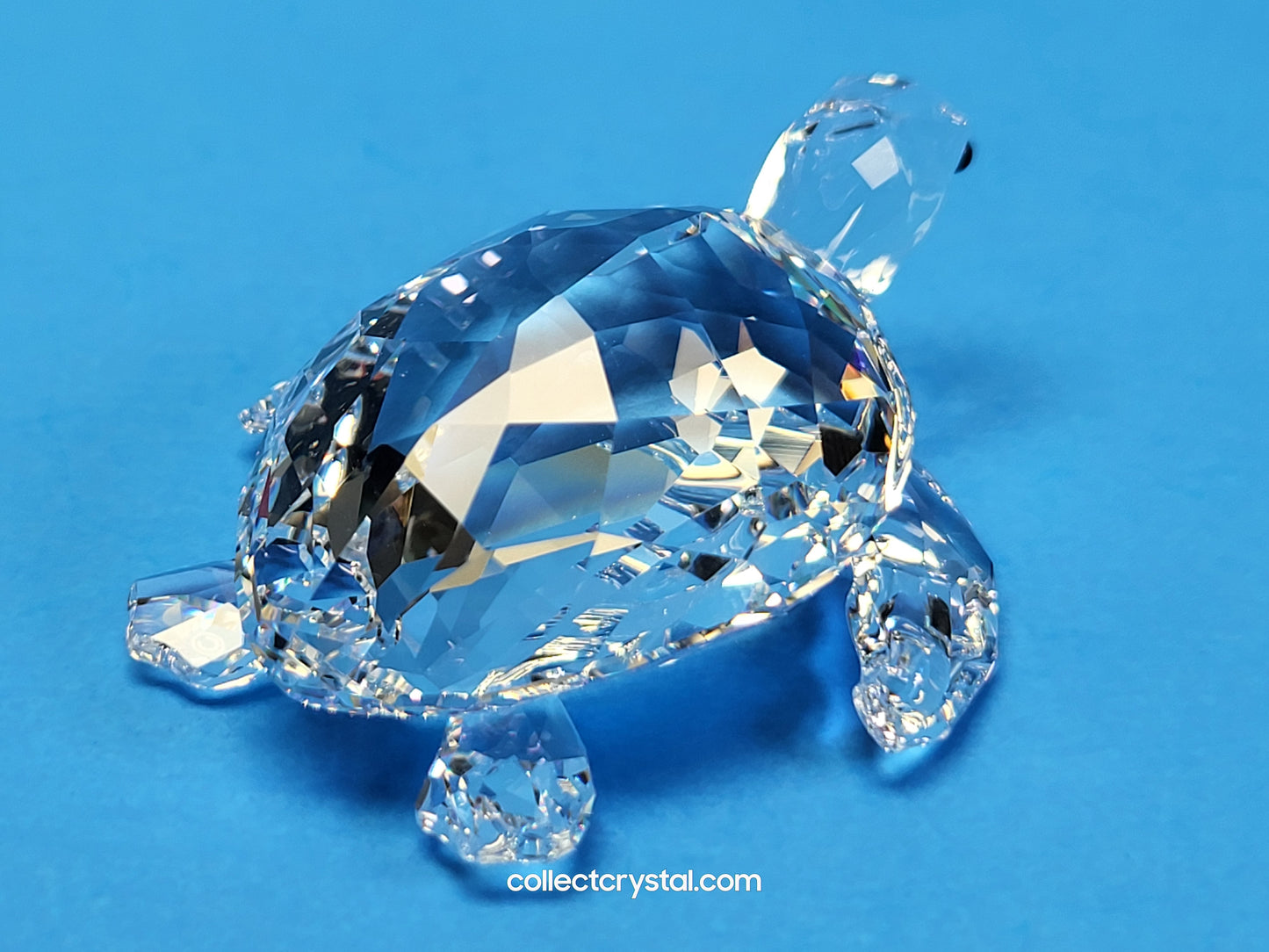 Sea Turtle Tortoise # 5063691 Mint In Box, Crystal Figurine