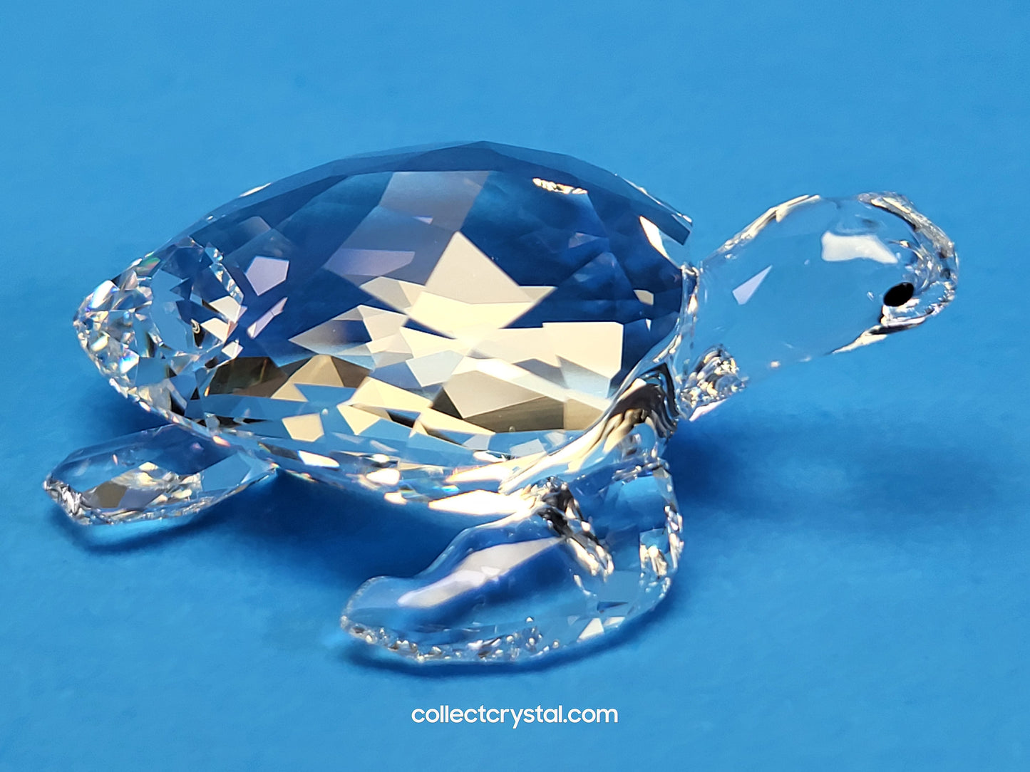 Sea Turtle Tortoise # 5063691 Mint In Box, Crystal Figurine