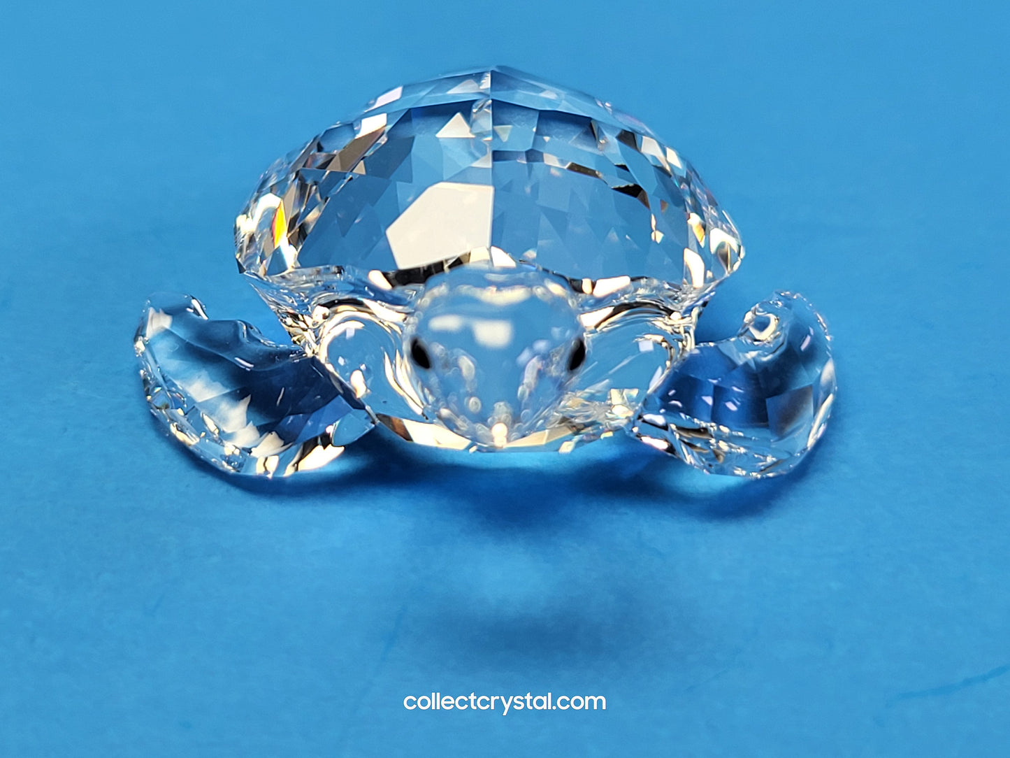 Sea Turtle Tortoise # 5063691 Mint In Box, Crystal Figurine