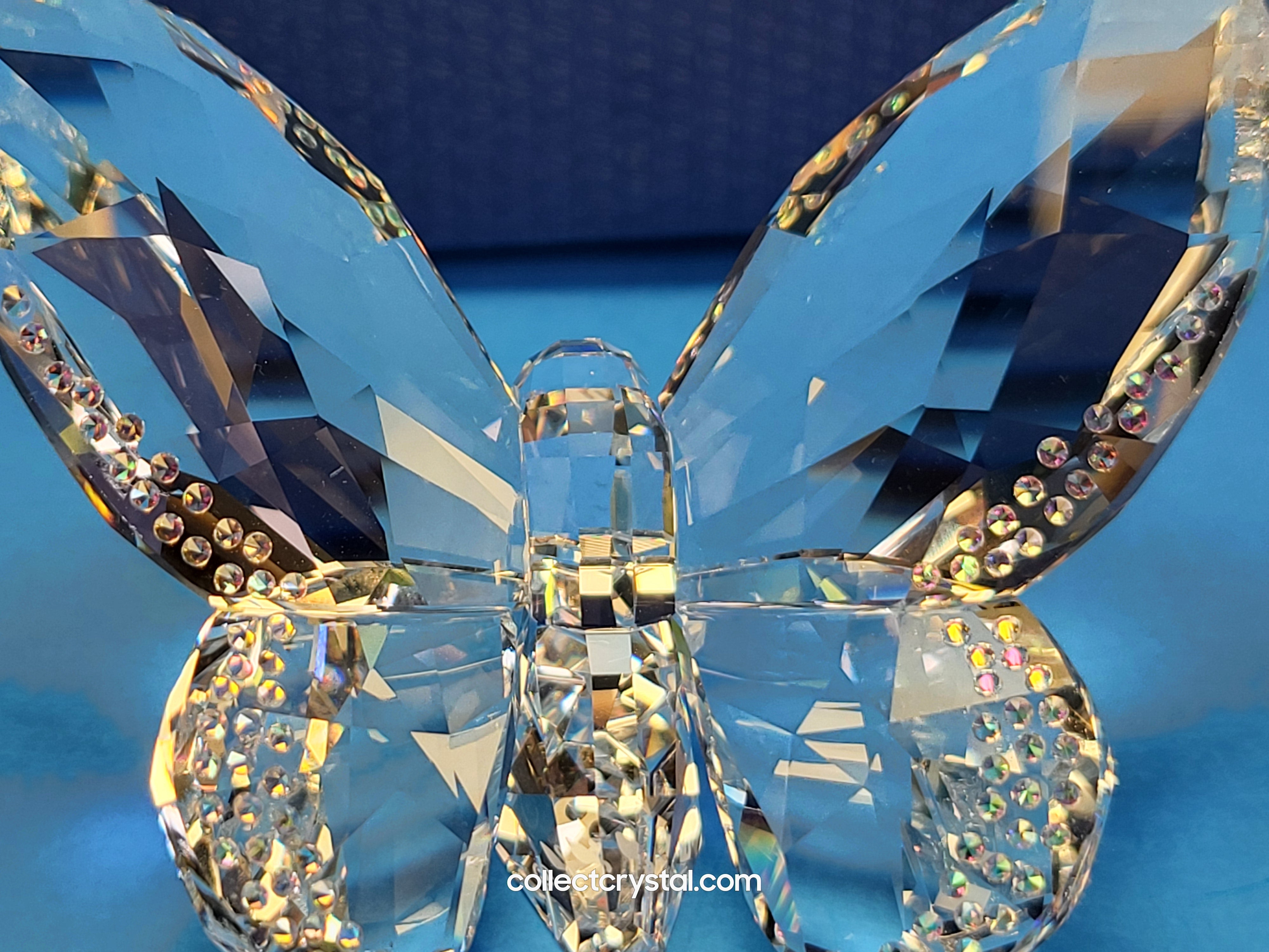 BRILLIANT BUTTERFLY – BEJEWELLED CRYSTAL 1043026 – Collect Crystal