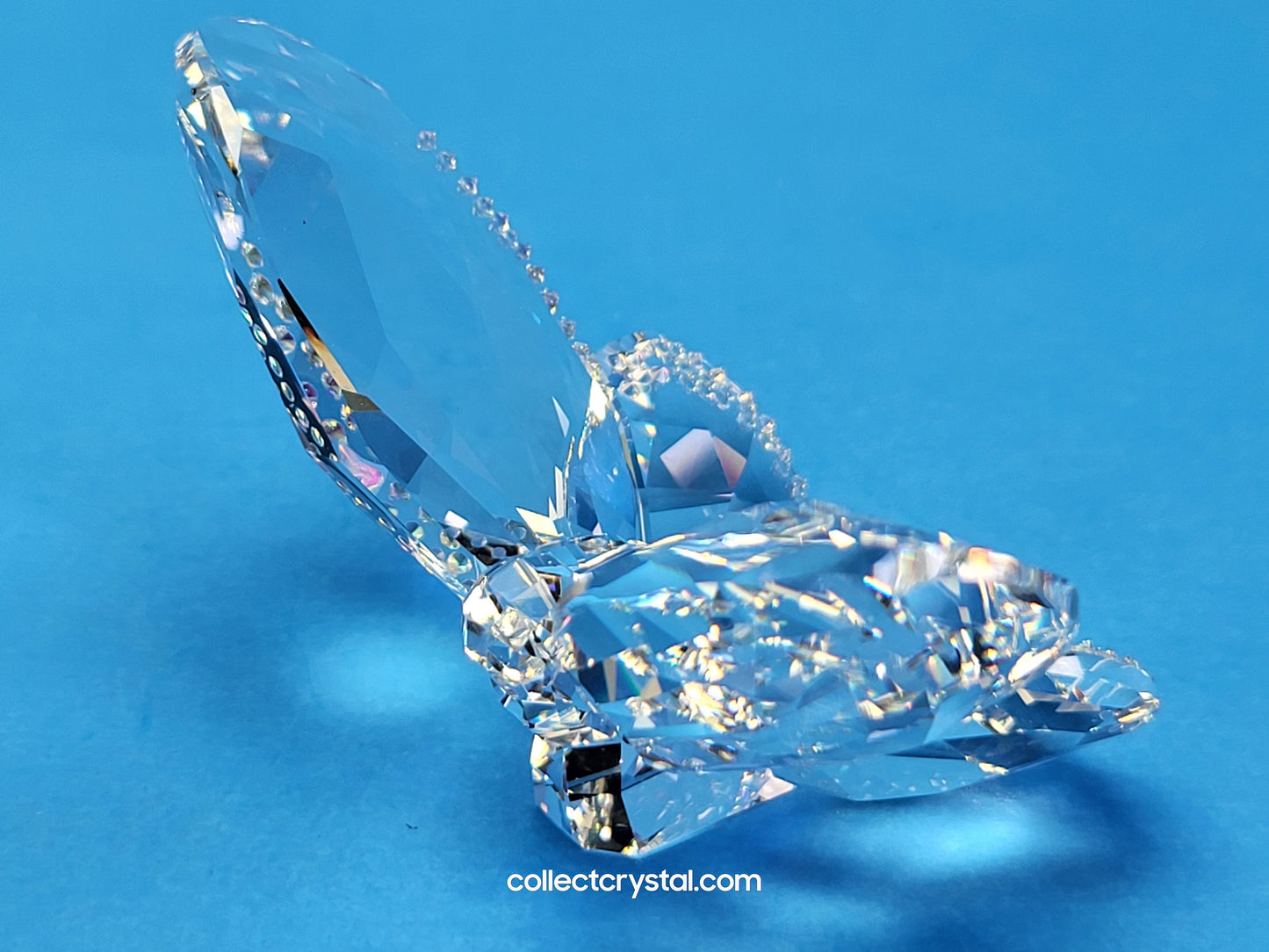 BRILLIANT BUTTERFLY – BEJEWELLED CRYSTAL 1043026