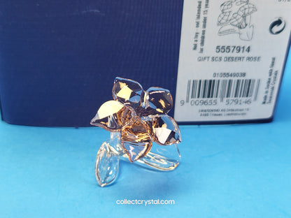 SCS 2021 JOINING/RENEWAL GIFT DESERT ROSE 5557914