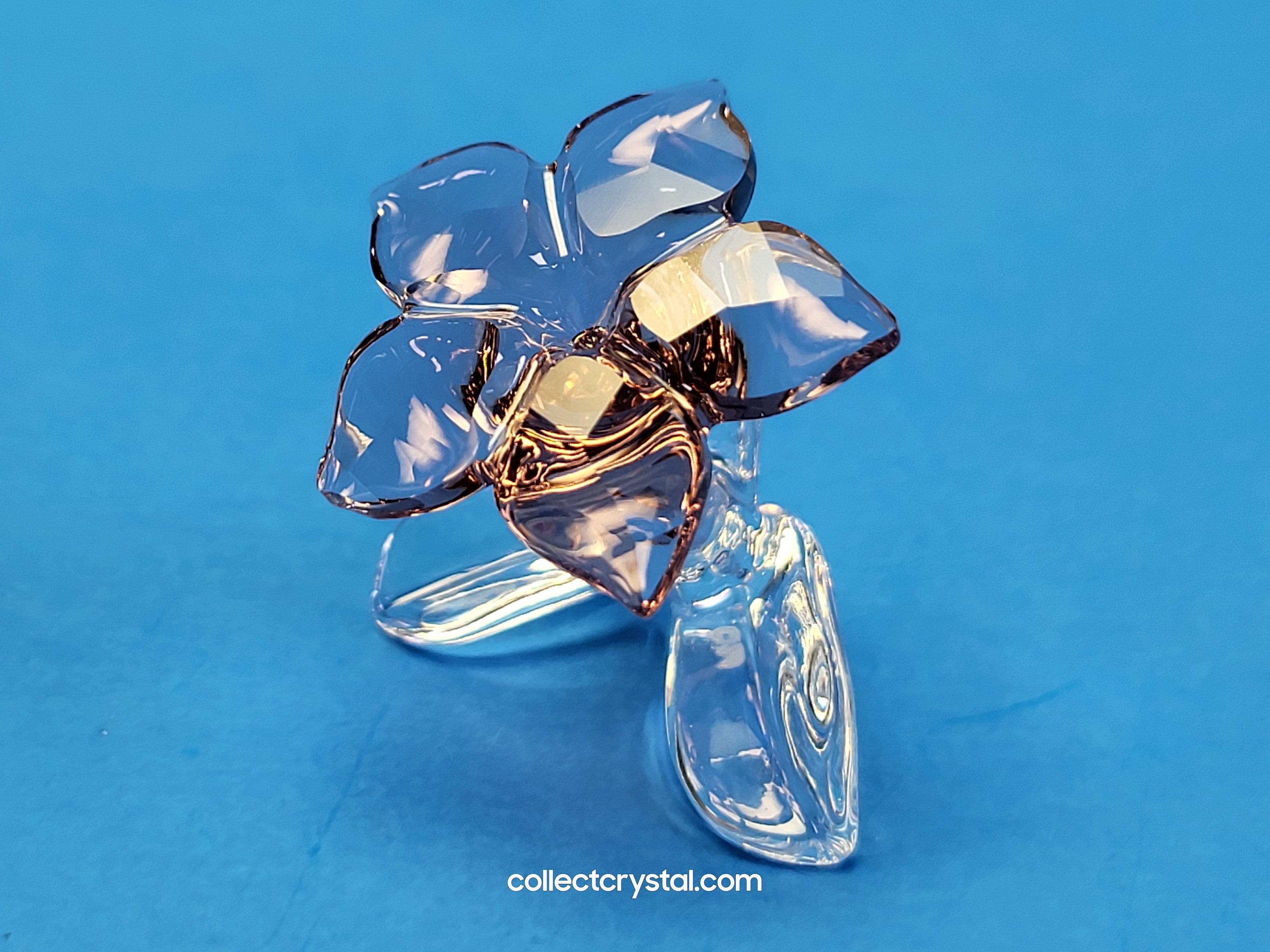SCS 2021 JOINING/RENEWAL GIFT DESERT ROSE 5557914 – Collect Crystal