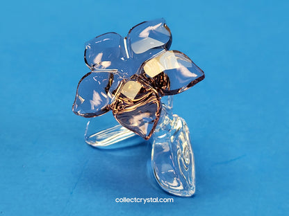 SCS 2021 JOINING/RENEWAL GIFT DESERT ROSE 5557914