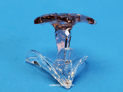 SCS 2021 JOINING/RENEWAL GIFT DESERT ROSE 5557914