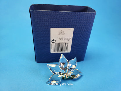 SCS Renewal Orchid Green Stem Flower # 1142858