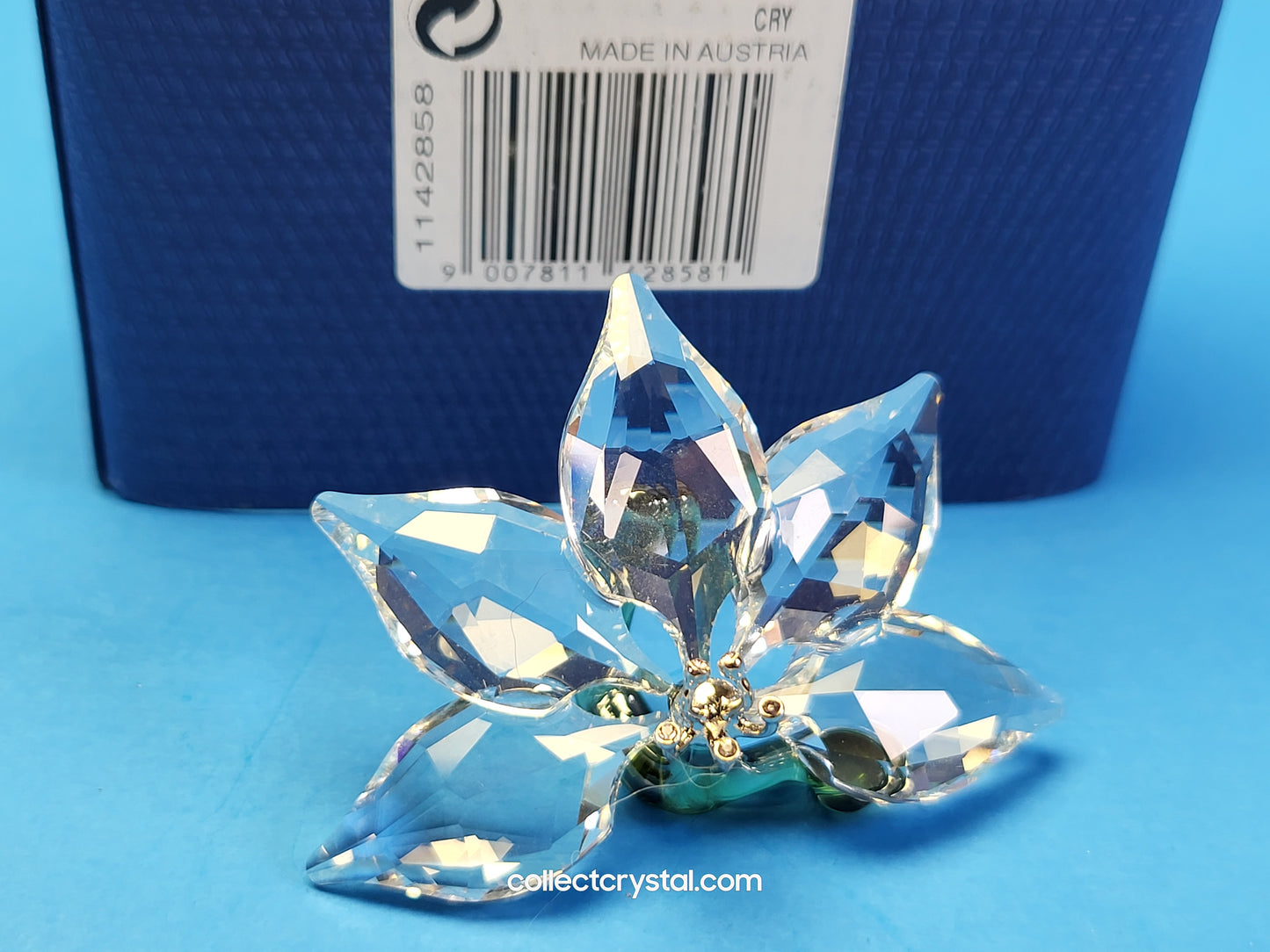 SCS Renewal Orchid Green Stem Flower # 1142858